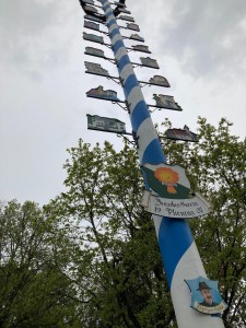Maibaum 22 .2