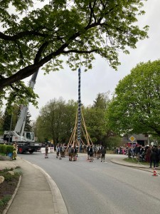 Maibaum 22 .3