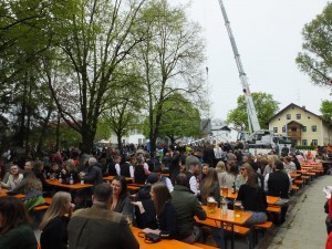 Maibaum 22 .7